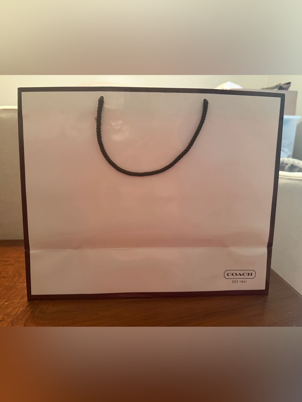 Vintage Coach Retail Shopping Bag White Black Rope Handles Gift Bag